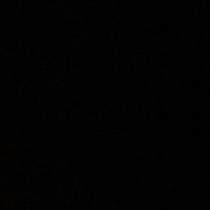 Meet your Posher, Abigail